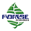 fiorese