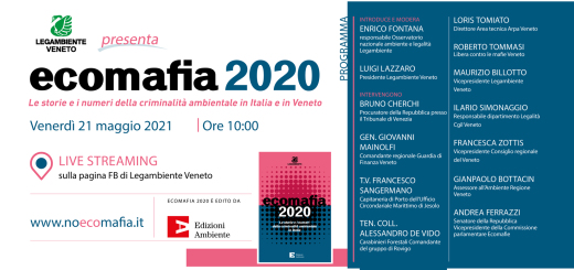 ECOMAFIA_2020