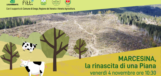 save-the-date-MARCESINA (1)