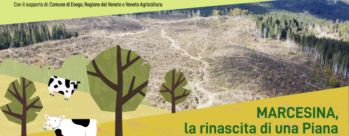 save-the-date-MARCESINA (1)