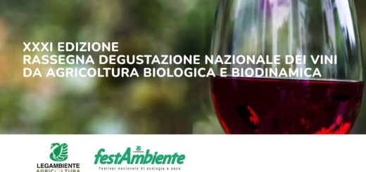 Rassegna-degustazione-nazionale-dei-vini-biologici-e-biodinamici-1024x564