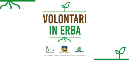 banner-sito-volontari-in-erba-alta-ris