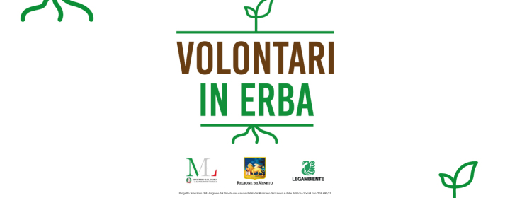 banner-sito-volontari-in-erba-alta-ris