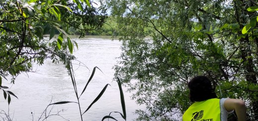 Adige5 (1)