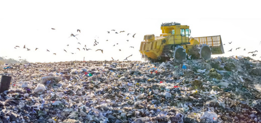 vignette-open-landfill