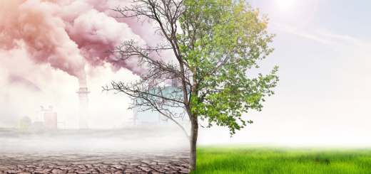 Comparing,Green,Earth,And,Effect,Of,Air,Pollution,From,Human